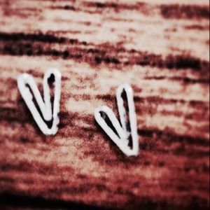 Meet your Posher, Casey